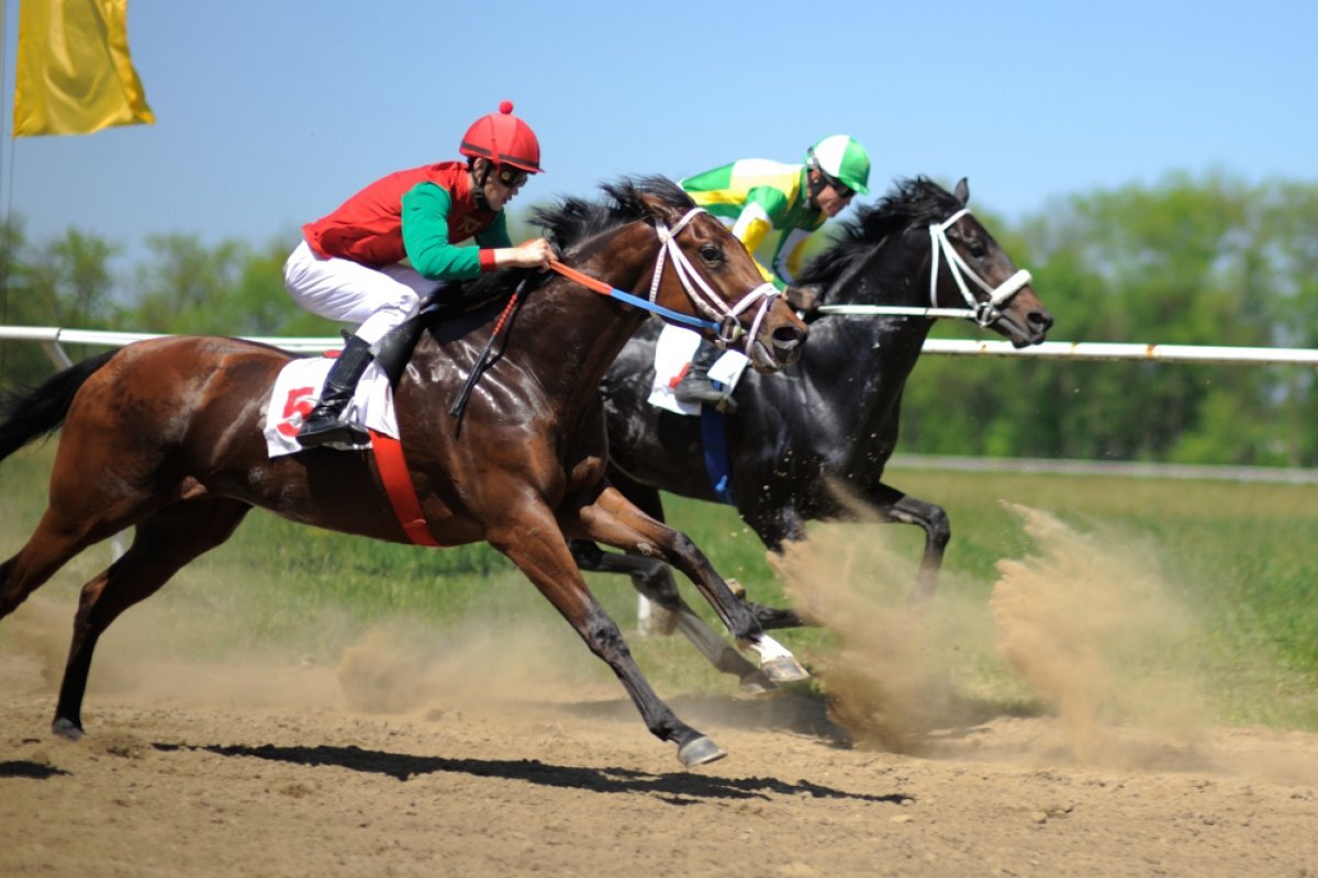    В Майкопе пройдут скачки в честь 78-летия Победы в ВОВ