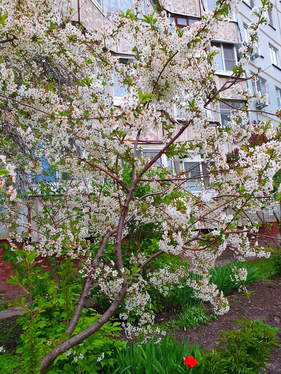 фото автора.