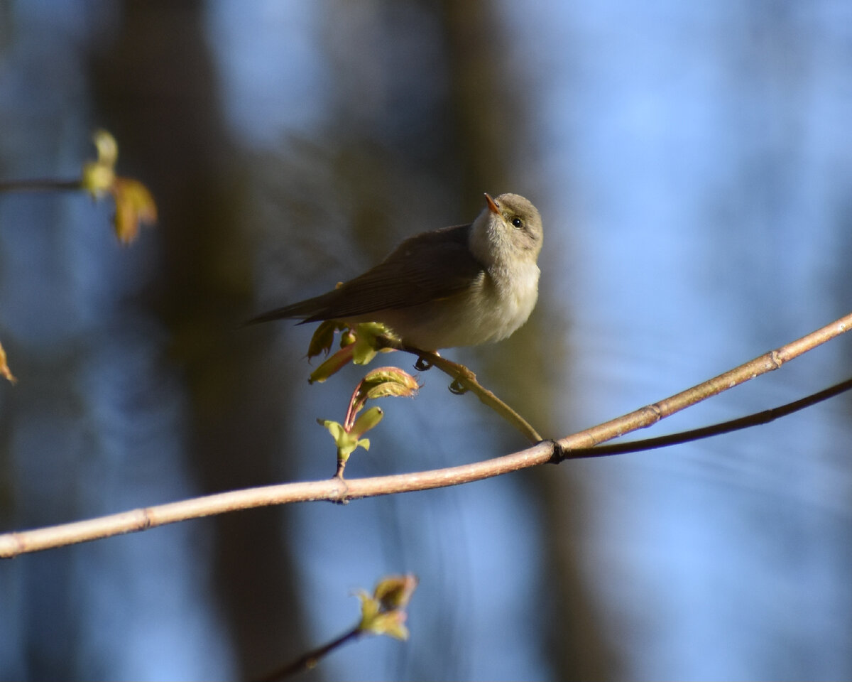 Ну что, уже сфотографировала, могу лететь?  Фото автора. 