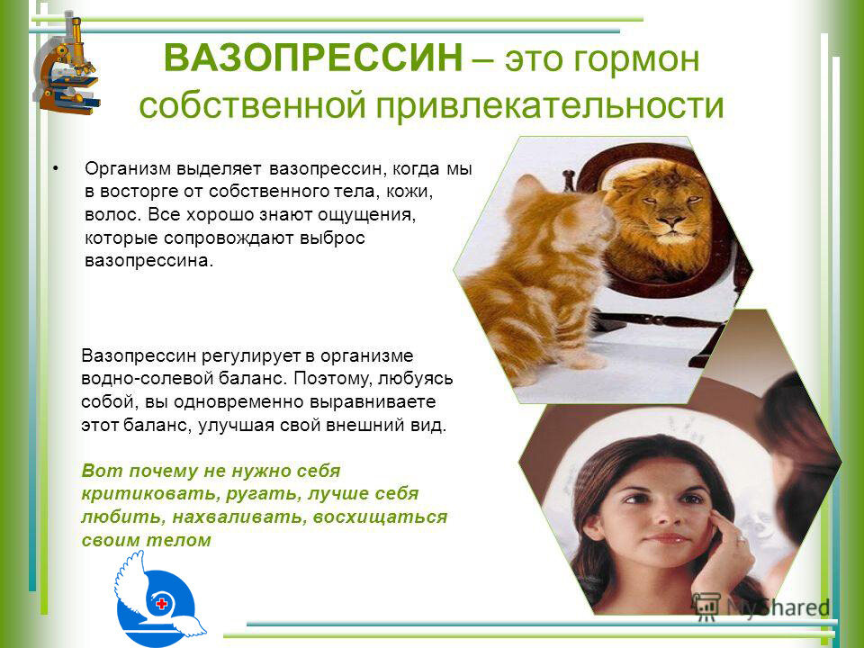 Антидиуретический гормон adh. Вазопрессин физиологические функции. Вазопрессин это гормон. При увеличении секреции вазопрессина диурез. Вазопрессин (антидиуретический гормон) функции.