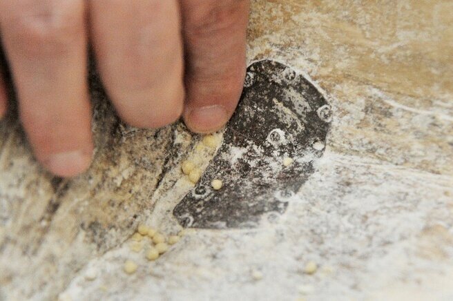 Спецпроект РИА «Воронеж». Бабушкин рецепт. Катанка