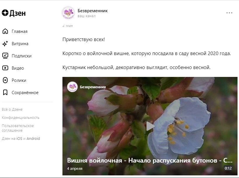 Скрин статьи до нововведения