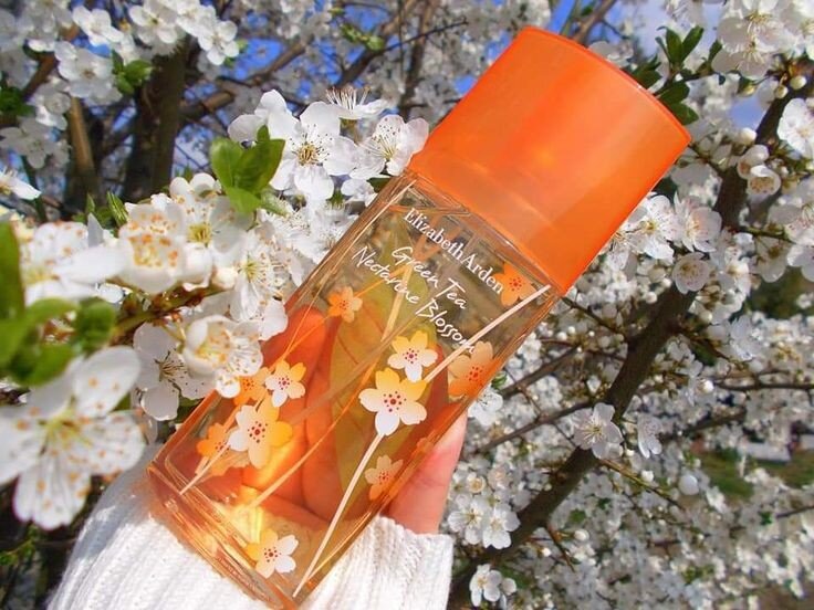 Весенние ароматы. Arden Green Tea Nectarine EDT 100ml. E.Arden Green Tea Nectarine Blossom 100ml.