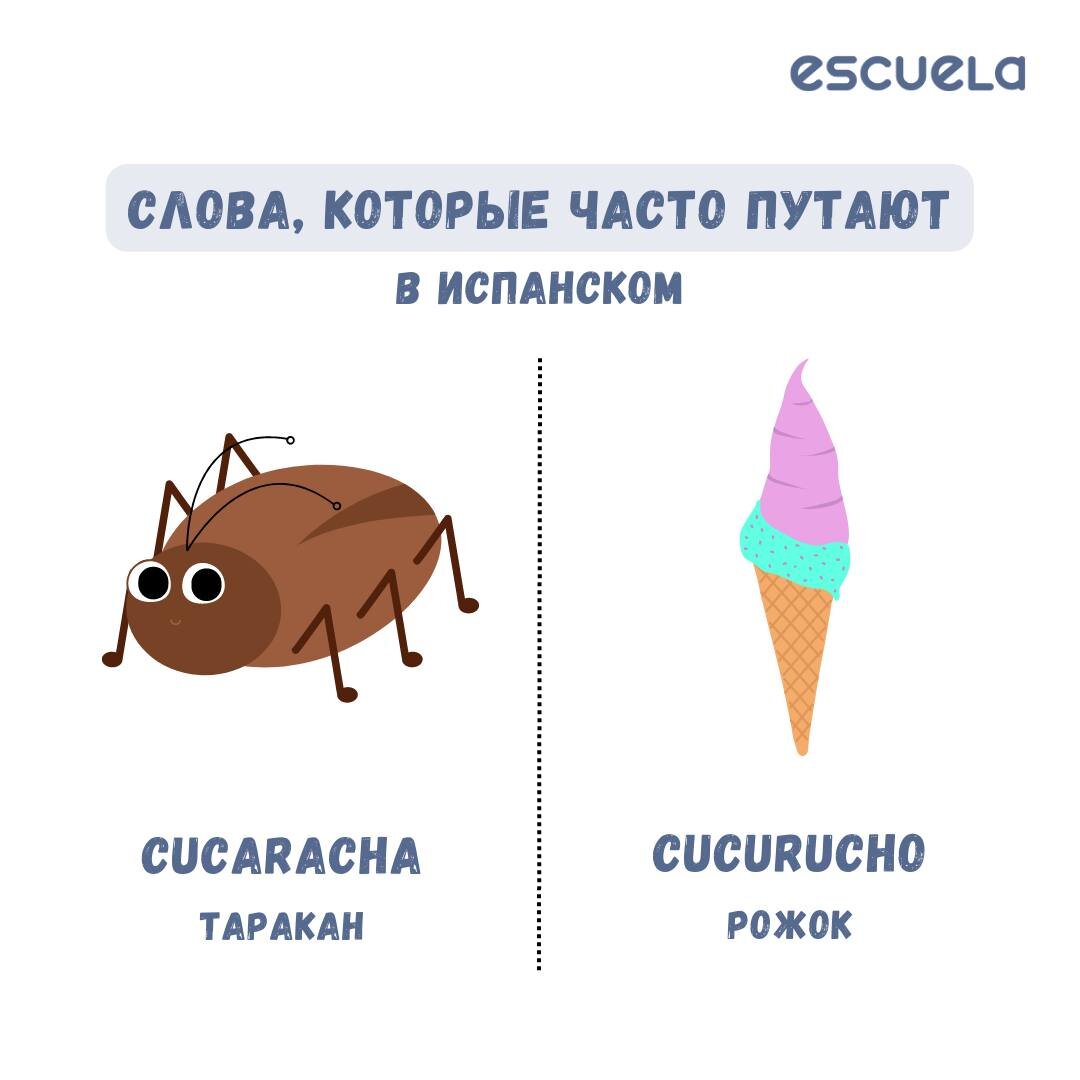 Слова, которые часто путают в испанском | Онлайн-школа испанского Escuela |  Дзен