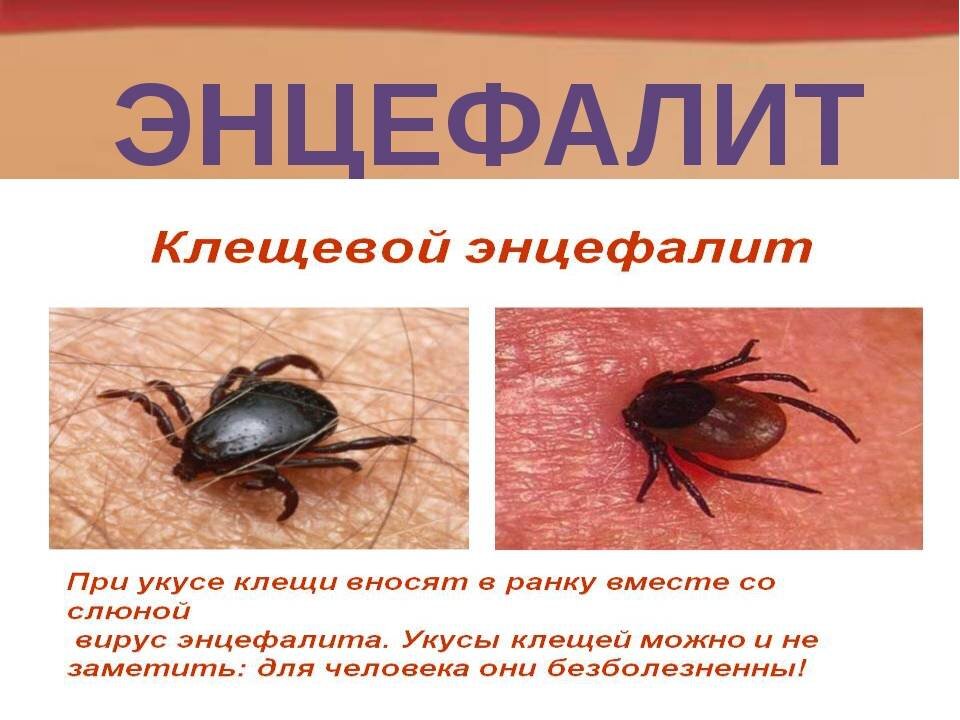 Картинка взята из открытых источников интернета