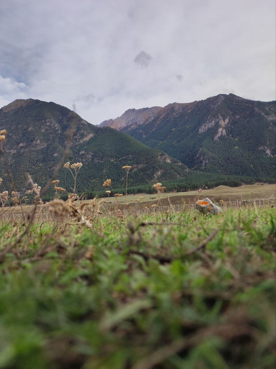 Горы...правда Кавказские, не Австралийские альпы😉