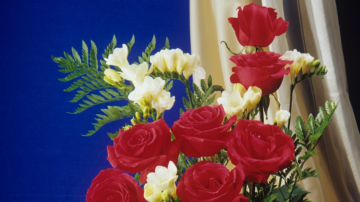    Как сохранить розы в вазе