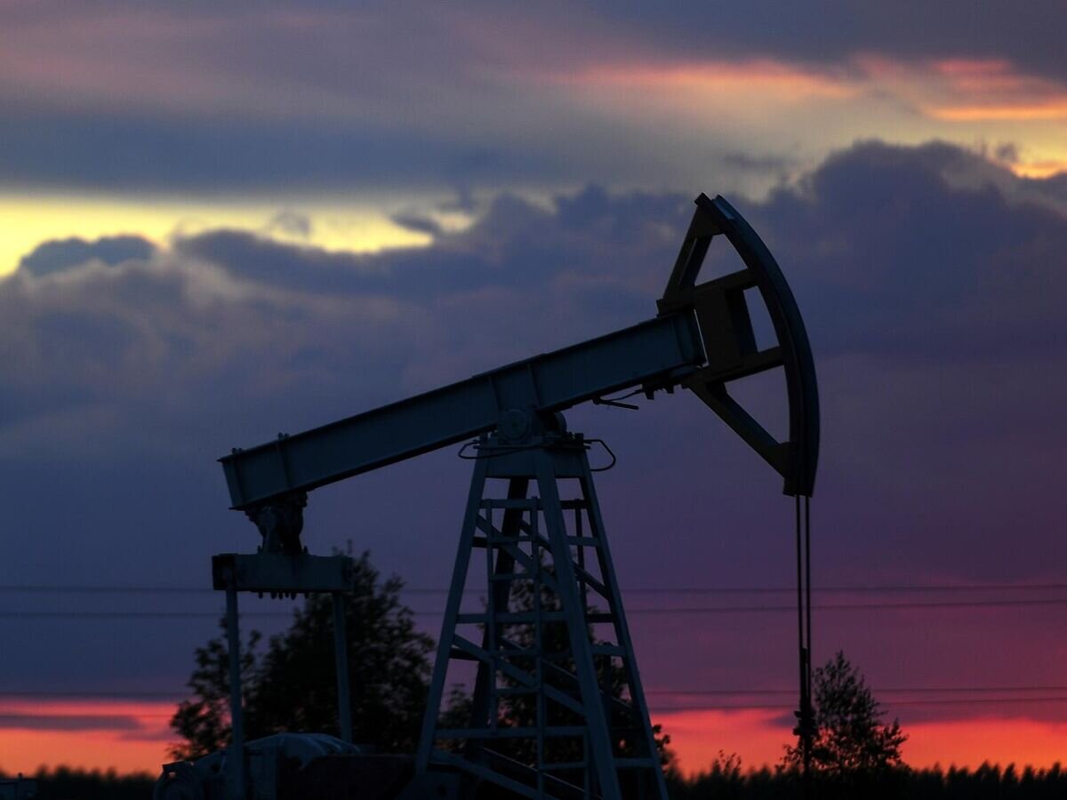    Нефтяная качалка в Республике Татарстан© РИА Новости / Максим Богодвид