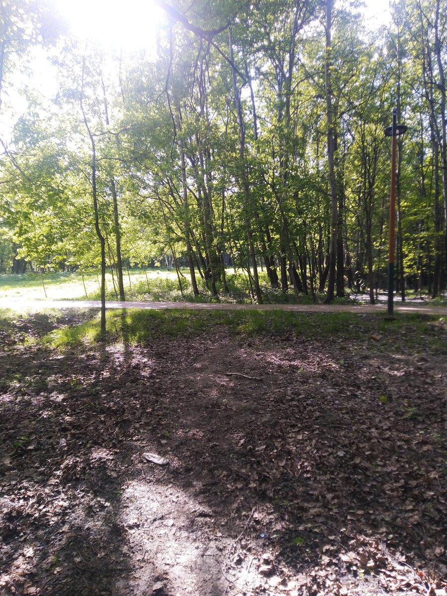 Идём на поляну