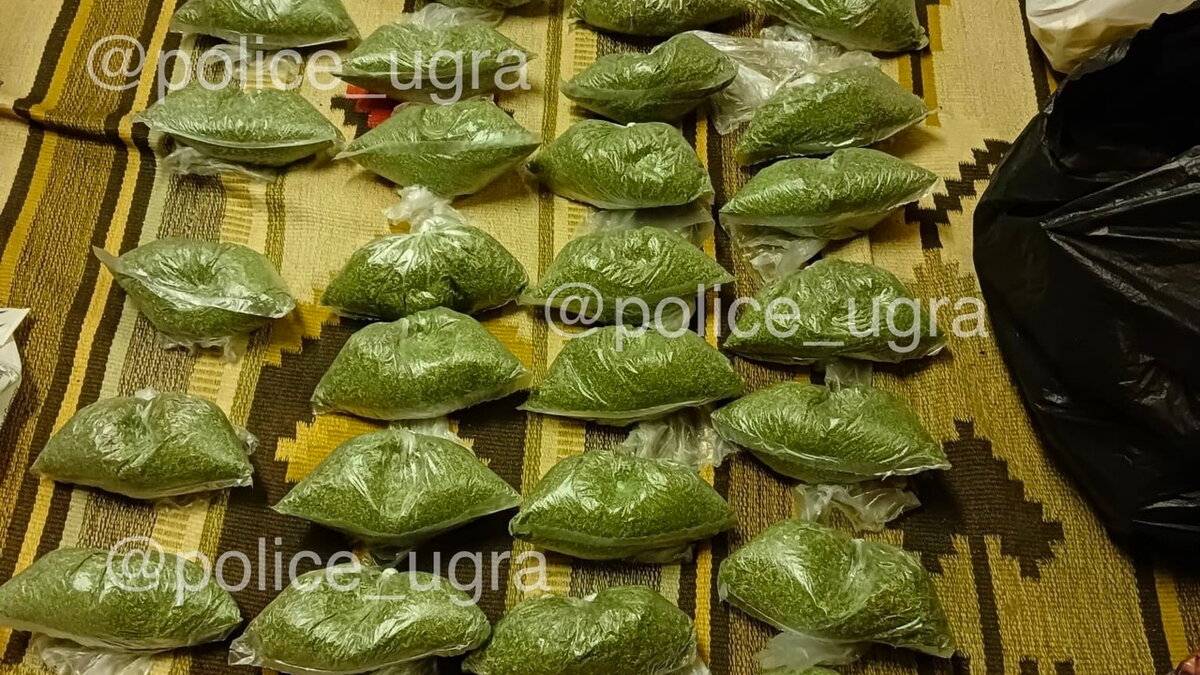    Житель Октябрьского района попался на хранении наркотиков, оружия и боеприпасов