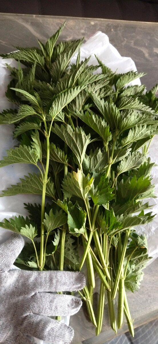 Сейчас ошпарю - и в путь!