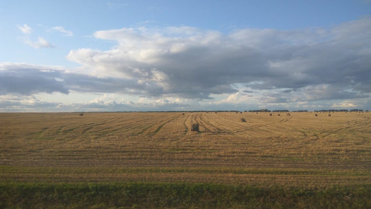     В Татарстане собираются изъять часть земельного участка из-за строительства дороги регионального значения. Соответствующее постановление подписал премьер-министр республики Алексей Песошин.