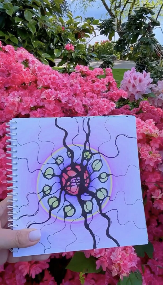 Монтрё, Швейцария