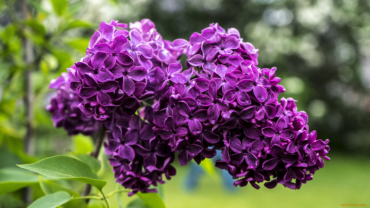 Фото из свободных интернет-источников