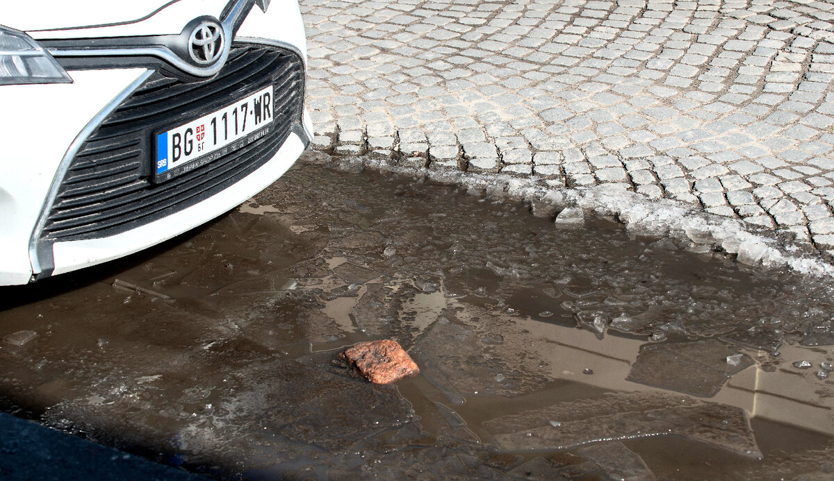 Корочка льда на белградской луже. Утро, через час-другой зима исчезнет.