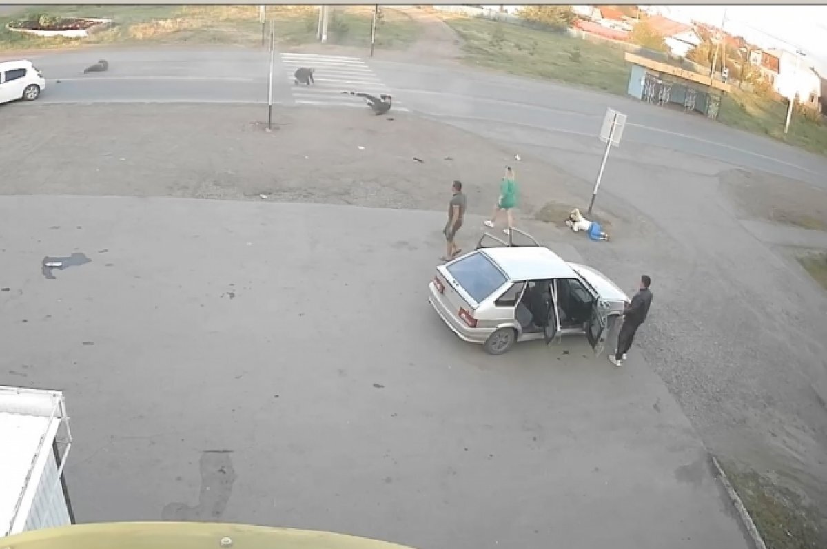    Пытавшемуся задавить семь человек жителю Саракташа вынесли приговор.