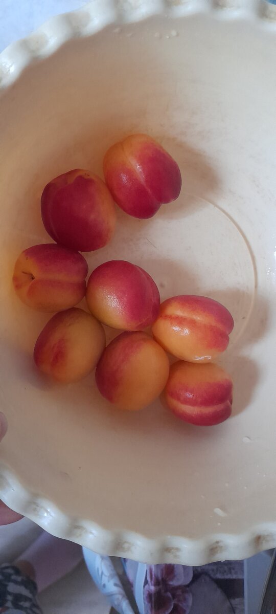 Недавно абрикосы покупала, вкусные