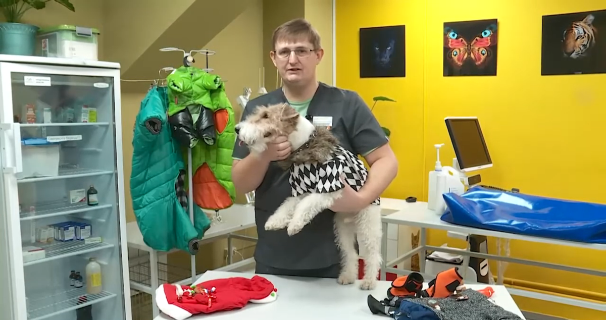 Защита от холода и влаги зимняя одежда для собак https://www.youtube.com/watch?v=jdzcbOhcPt4