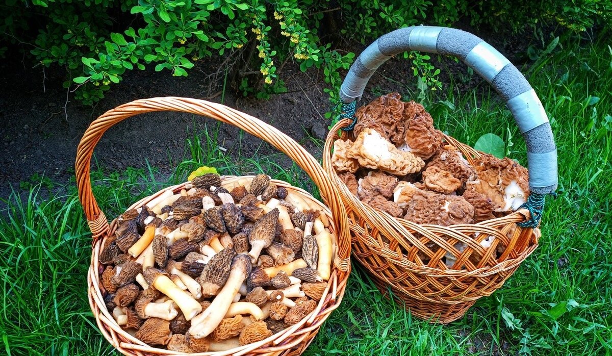 Фото: Алексей Базылев