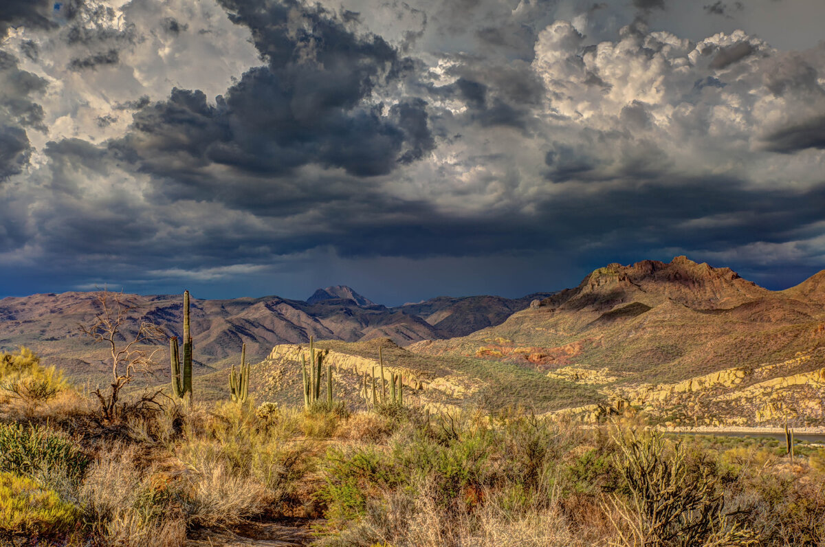 Photo by Robert Murray on Unsplash