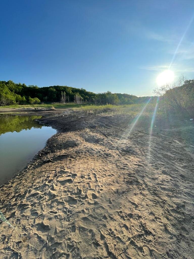    Фото: Петр Шабалдин