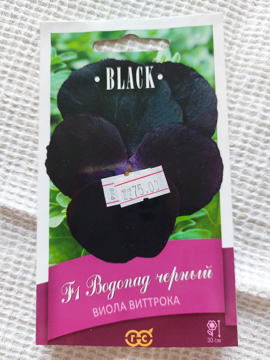 Ампельный сорт ,если верить описанию