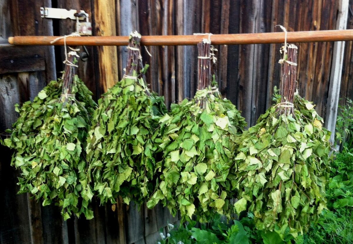 Источник фото - https://goo.su/5CiFsU4