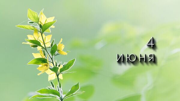    © Photo : Lum3n: Pexels