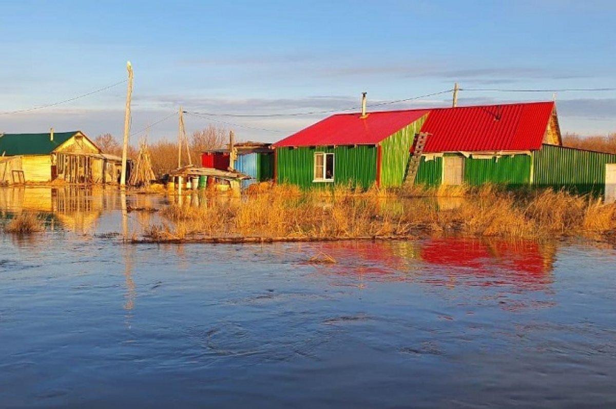    Одиннадцать человек эвакуировали из села на Камчатке из-за паводка