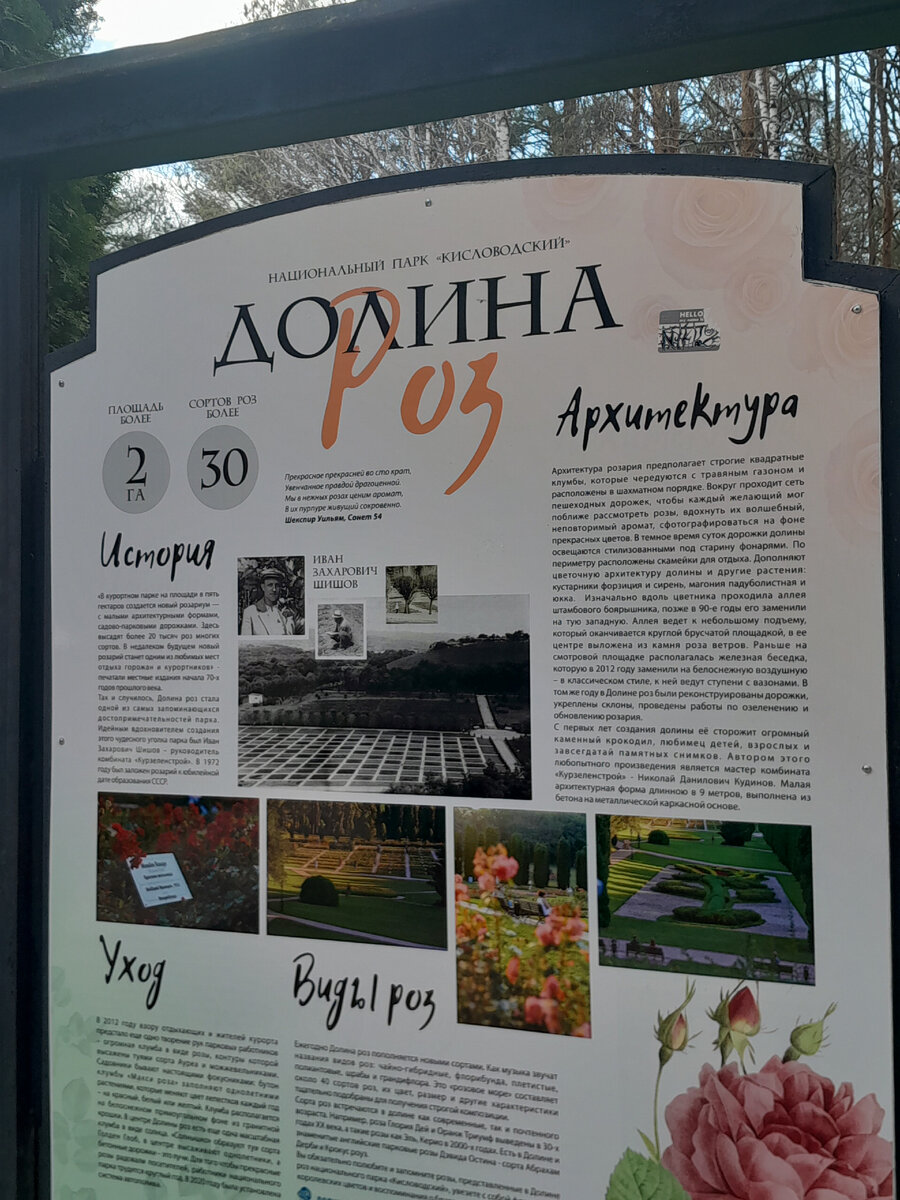 фото плакат в долине роз