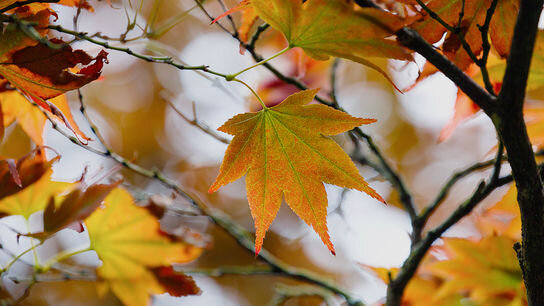  обрадовалась встрече
