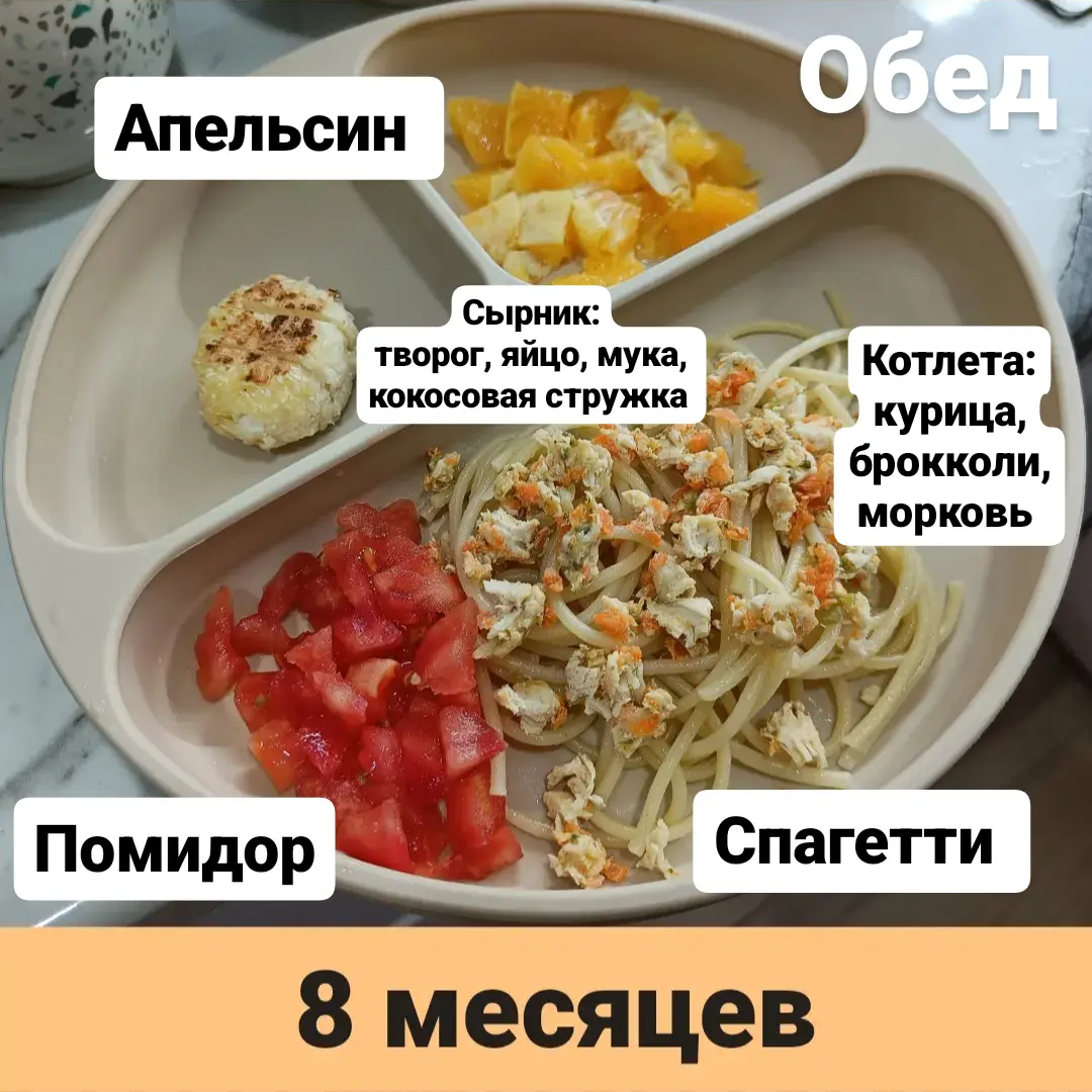 Прикорм. Тарелка 8 месяцев. Обед. | В поисках дома ❤️ Вьетнам 🇻🇳 Нячанг |  Дзен