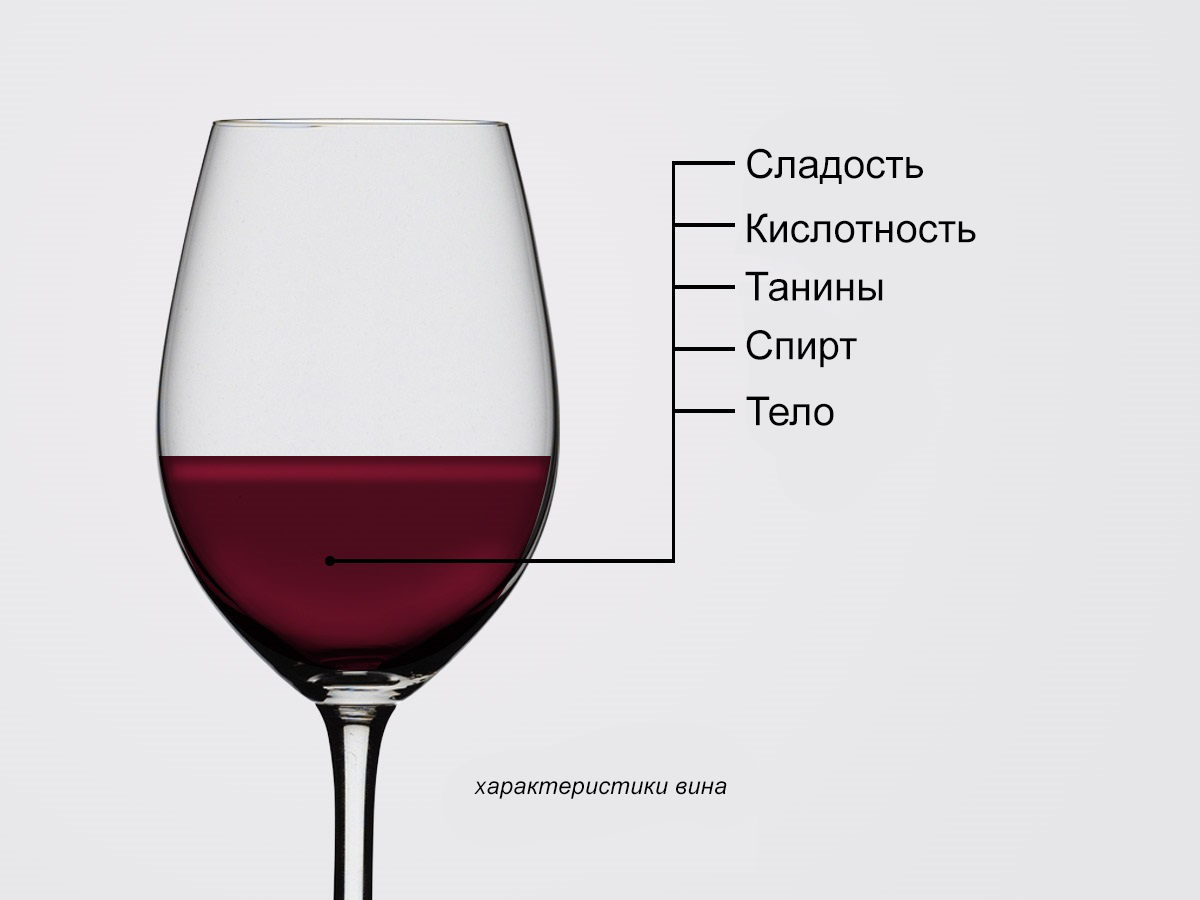 Тема рассказа красное вино. Wine. Танины в Красном вине. Сорта красных вин. Чили регион вина.