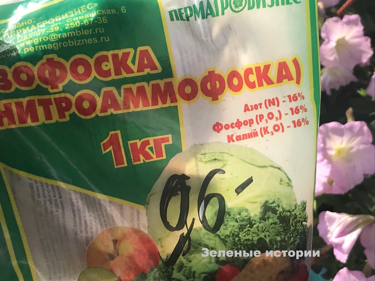 Моя схема подкормки петунии для пышного цветения | Зелёные истории | Дзен