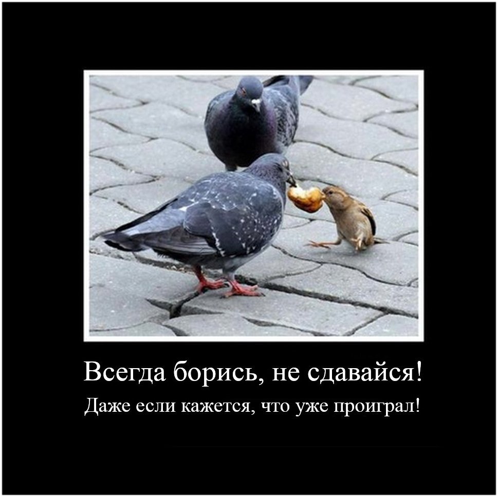 источник Яндекс-картинки