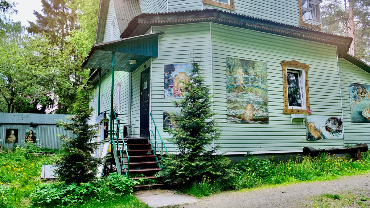 Музей кошки во Всеволожске