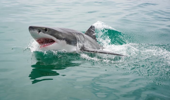 Фото: trip-for-the-soul.ru