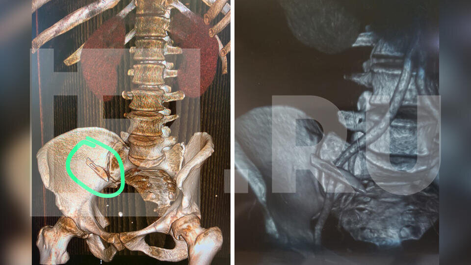 Фото: © Известия