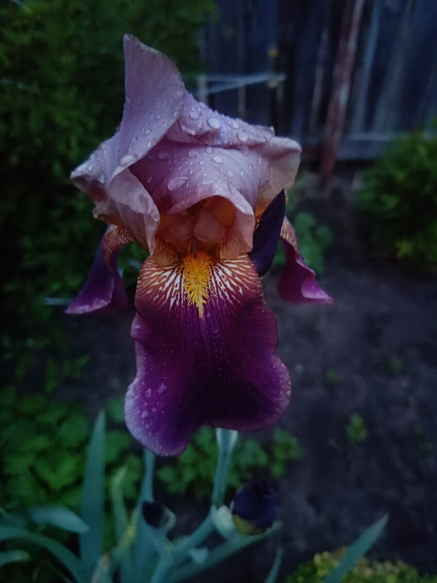 Фото автора статьи. 