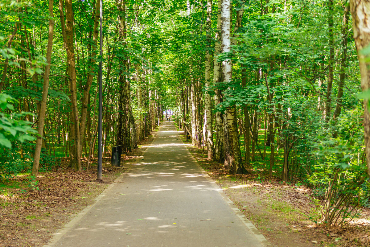 Фото: Про Мой район