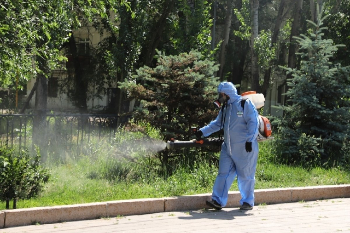    В Самаре общественные территории обрабатывают от комаров