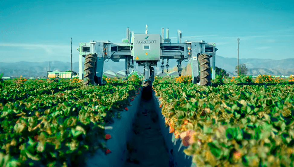 Harvest CROO Robotics разработала нового робота для сбора садовой земляники