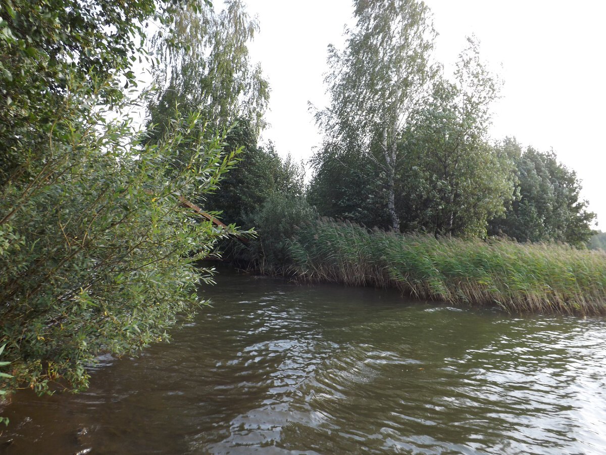 Устье Балтыма