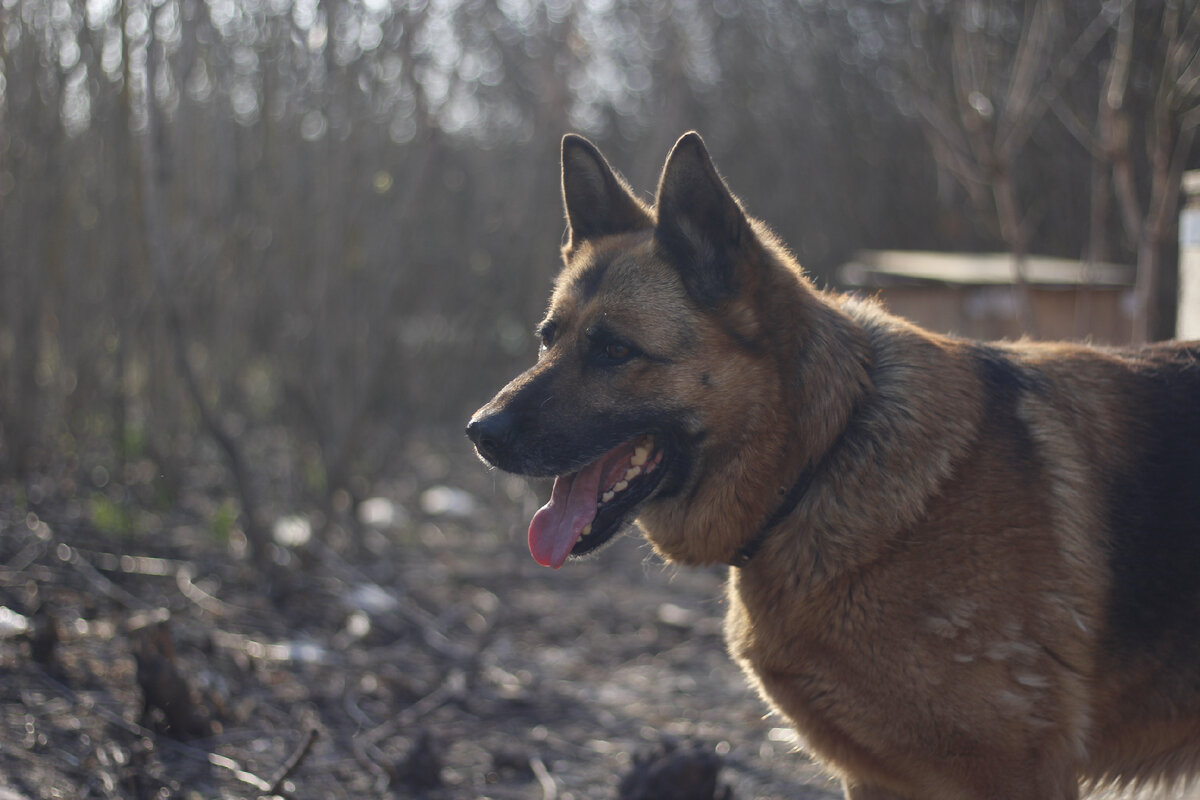 На фото: спасённая Айза