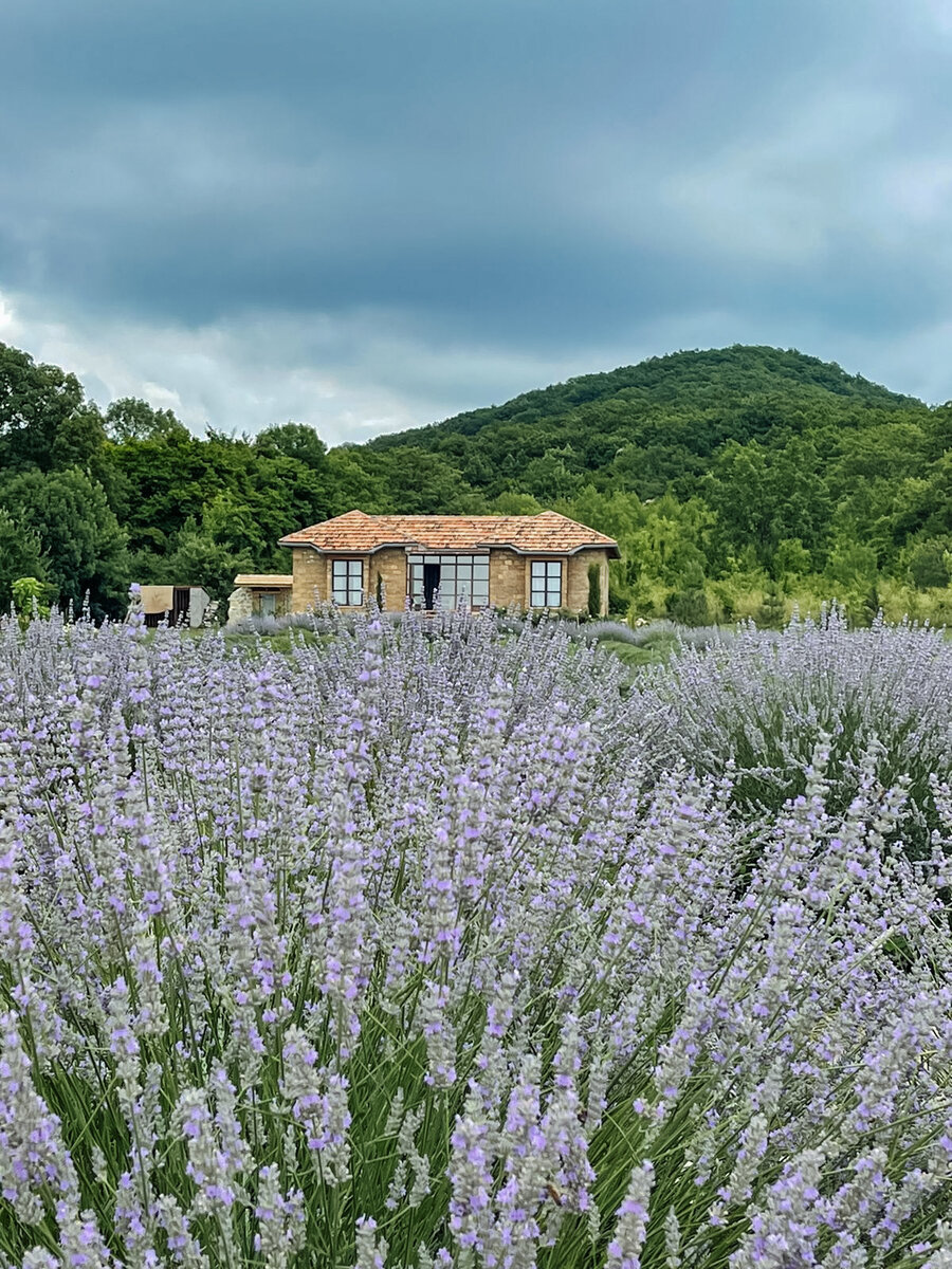 «Дом ароматных трав» в Семигорье.