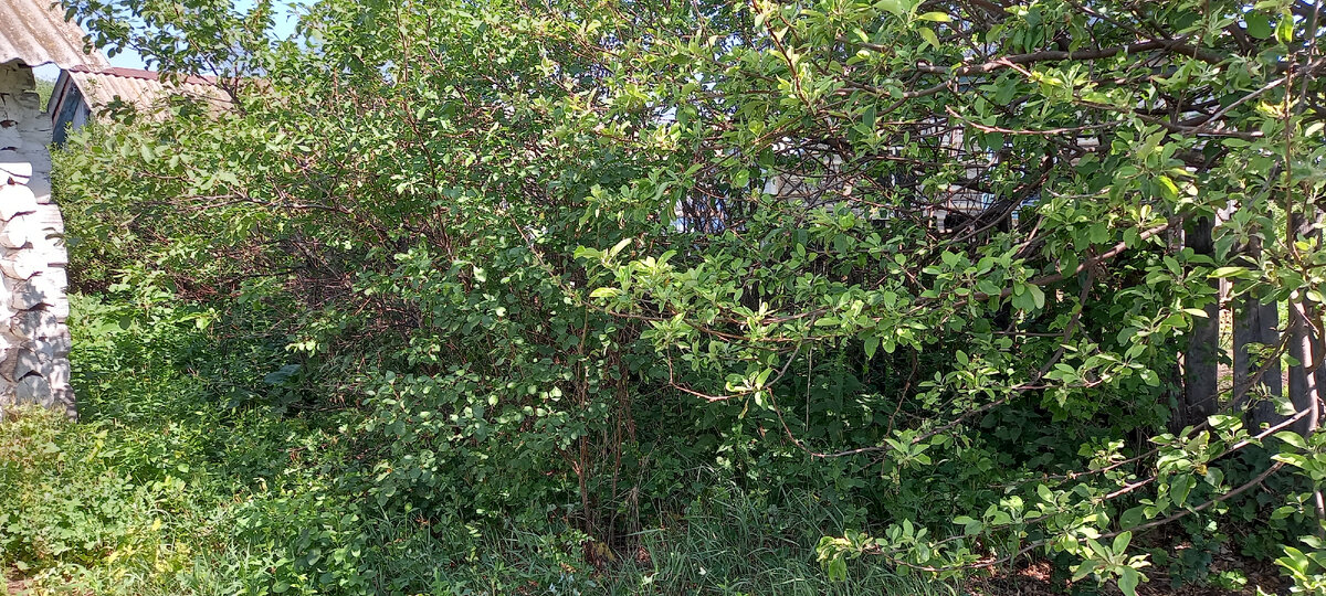 Авторское фото Айнур Давлетшин