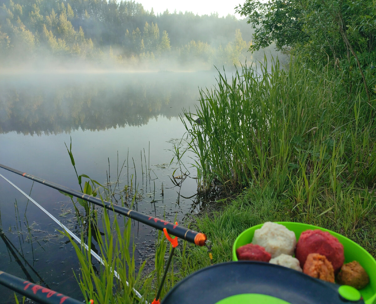 Пруд 2 км. 2 пруд березники. Пруд белая дача котельники. Озеро великое тверская область. Озеро великое тверская область.