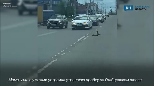Все уступают водителю при езде по этой дороге