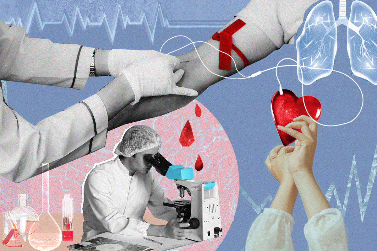 Иллюстрация: Лика Сочкина