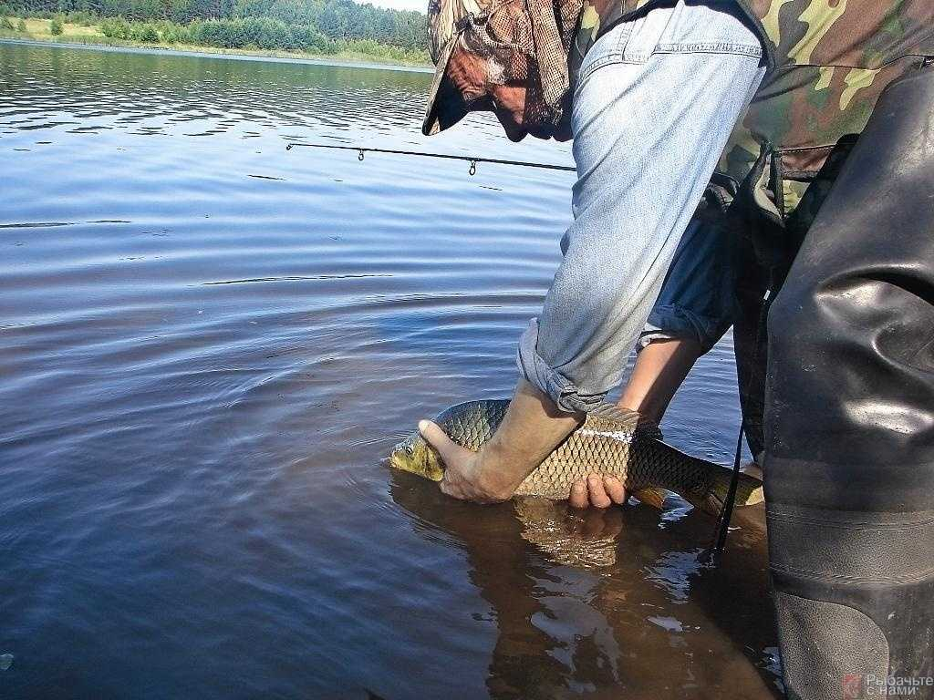 Поймал и изнасиловал: 3000 русских порно видео